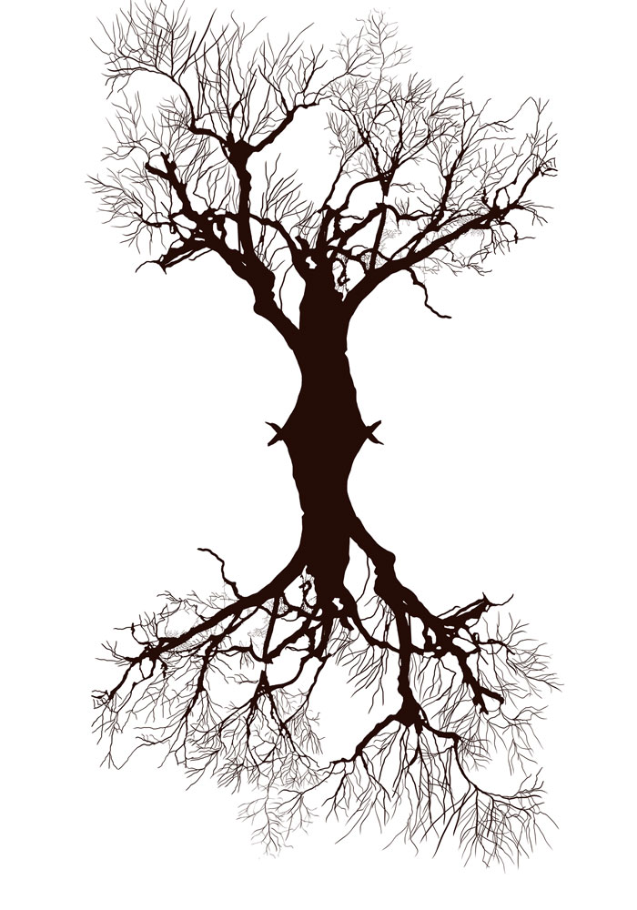 Manifesto: La vita di un albero